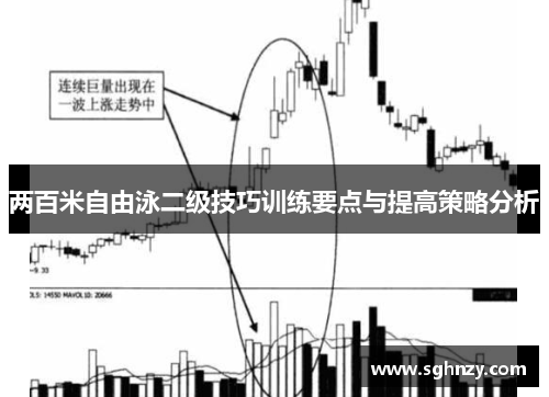 两百米自由泳二级技巧训练要点与提高策略分析