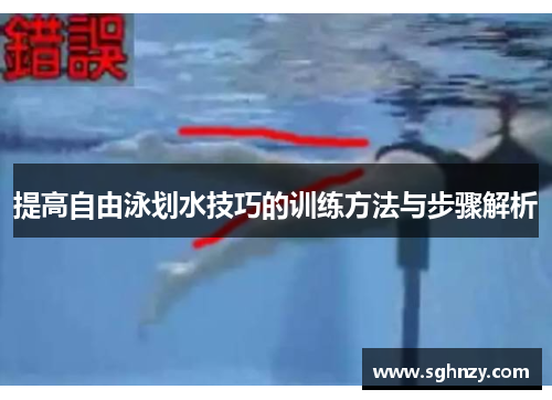 提高自由泳划水技巧的训练方法与步骤解析