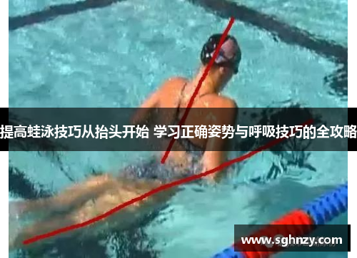 提高蛙泳技巧从抬头开始 学习正确姿势与呼吸技巧的全攻略