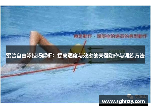 索普自由泳技巧解析：提高速度与效率的关键动作与训练方法