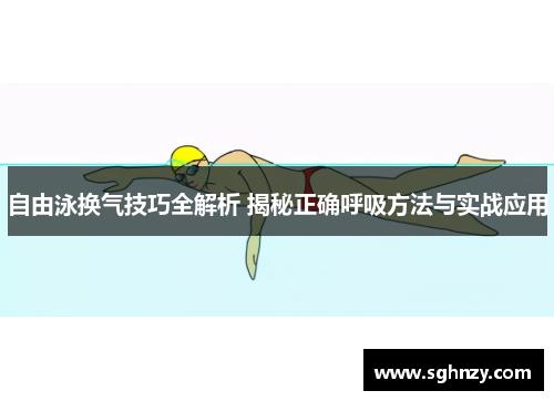 自由泳换气技巧全解析 揭秘正确呼吸方法与实战应用
