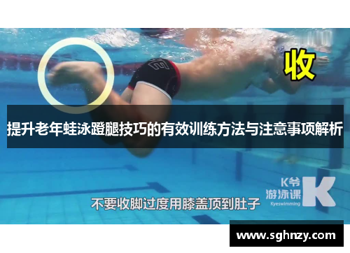 提升老年蛙泳蹬腿技巧的有效训练方法与注意事项解析