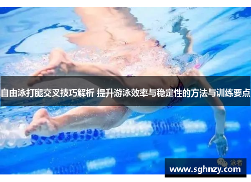 自由泳打腿交叉技巧解析 提升游泳效率与稳定性的方法与训练要点